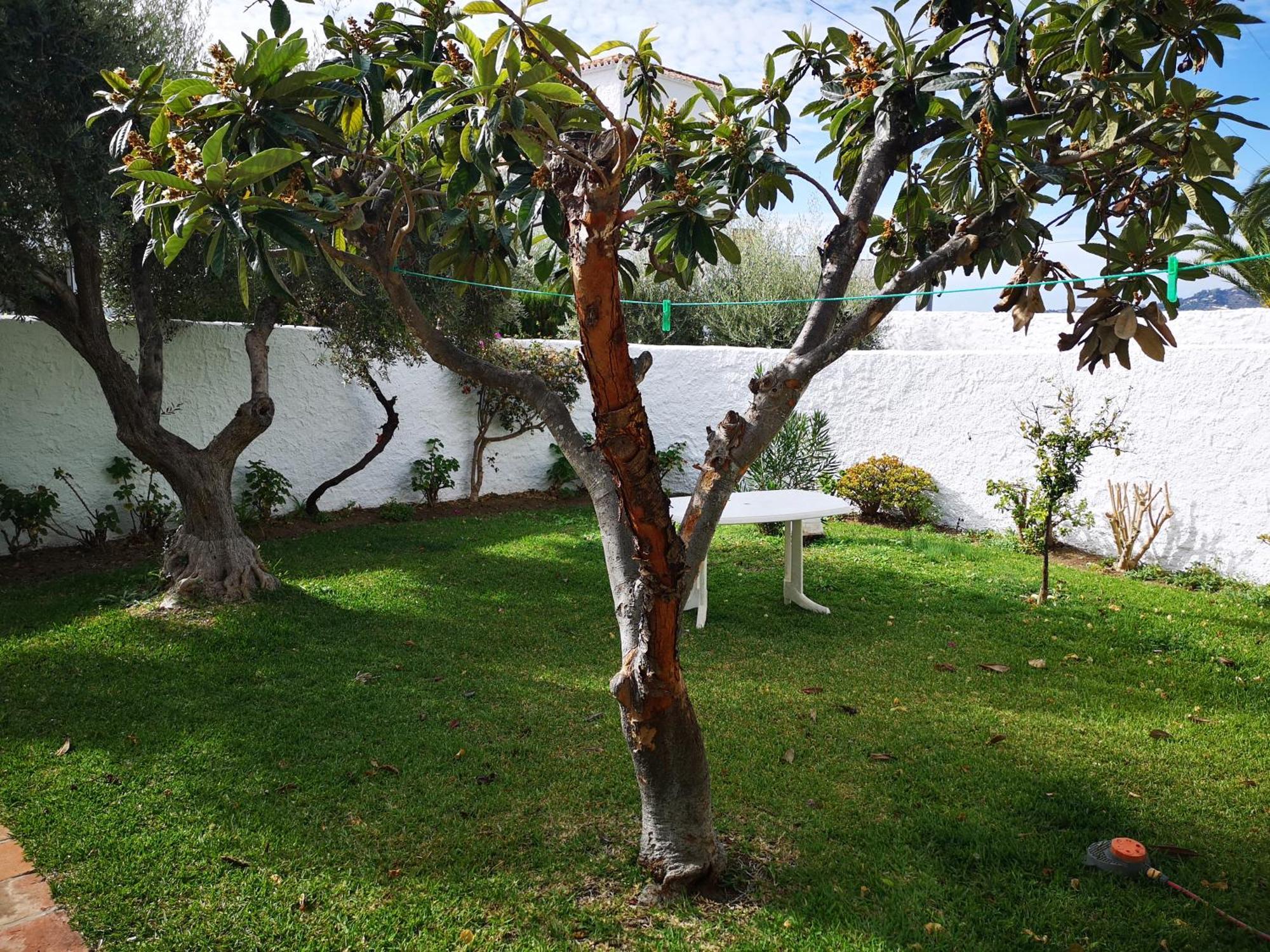 Hotel El Capistrano Nerja Zewnętrze zdjęcie